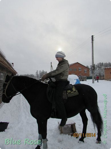 Это я и мой любимый конь Дукат!Я очень люблю лошадей, и эту серию МК посвящаю именно им! (фото 1)