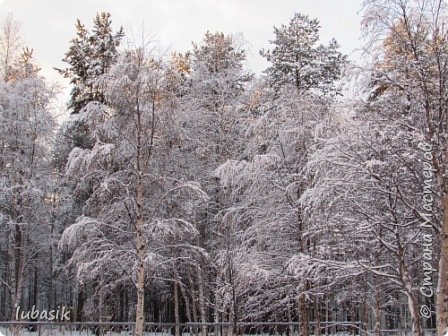 Мои работы...Хвастики...Природа... (фото 66)