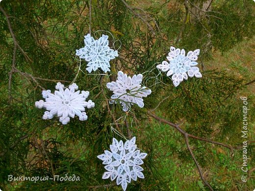 И свежие снежинки.(съемка на природе). (фото 5)