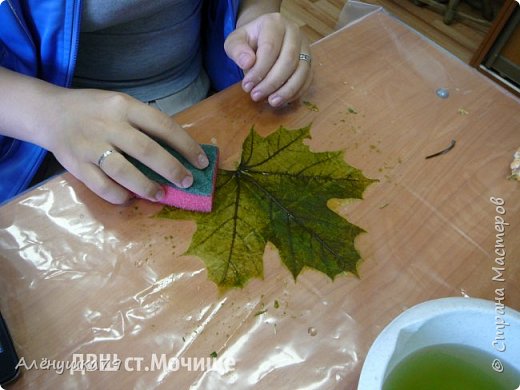 процесс скелетирования (фото 3)