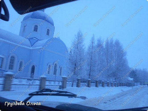 У нас сегодня очень красивые деревья. (фото 10)