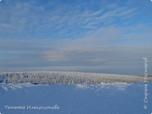 Рождественская сказка (фото 10)