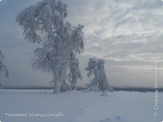 Рождественская сказка (фото 25)