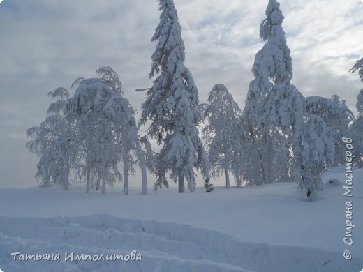 Рождественская сказка (фото 27)