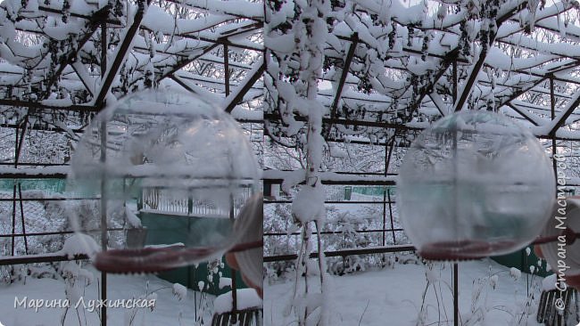 А вот решили повторить наш День мыльных пузырей на морозе... В Рождество, погодка удивила нас ещё и морозом минус 13... И у нас получилось чудо!!!!!!!!  Немножко по-другому они застывали, чем в прошлом году. Покрывались морозными  узорами сверху, тем самым, замерзали - Становились ледяными. И от малейшего веяния ветерка отрывались  и трескаясь,  рвались...   Очень жалко, что не получается на фото передать тех чудных узоров и моментов застывания...  (фото 32)