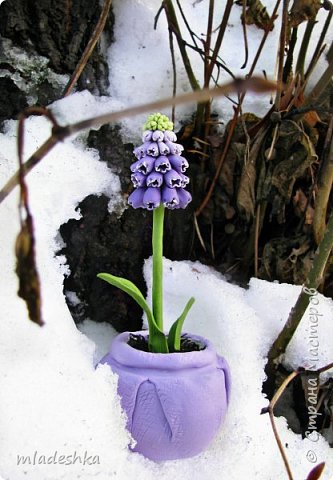 Всем привет!! Это дополнение к подснежникам))))) Очень люблю фиолетовый цвет, вдруг стукнуло с остатков глины сделать Мускарик.......пока только один,но мне очень понравилось их лепить,так что  в планах еще..... (фото 1)