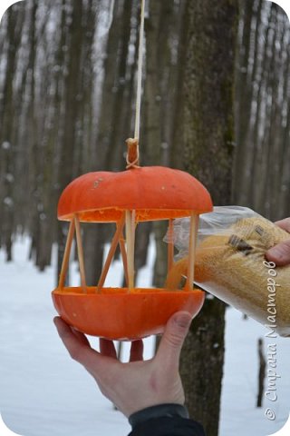 Кормушка для птиц из тыквы  (фото 10)