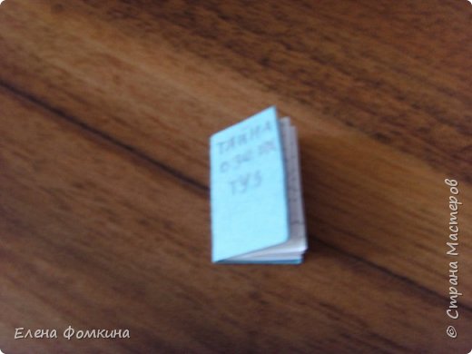 В разделе «Кукольная жизнь» есть одна фотоистория - «Тайна озера Туз». А эта книга написана по этому рассказу. Нет, я не плагиат. Просто в голову ничего другого не приходило. (фото 5)