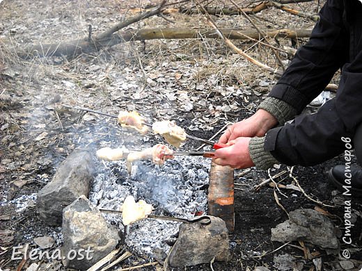 Пока я возилась с кошечкой, супруг готовил курочку. Проводили зиму, встретили весну.  (фото 5)