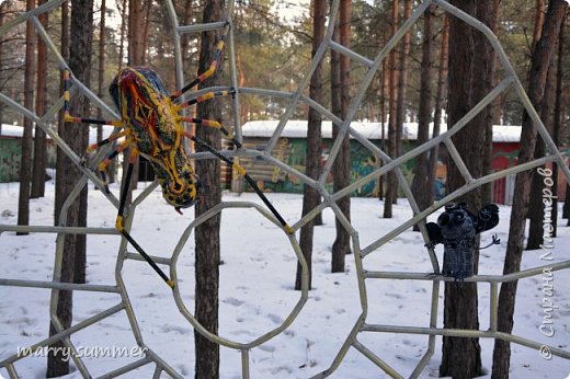 Сегодня, я решил повернуть и идти по другой тропинке...И что же мы увидели. Здесь обитает огромный паук! Страашно!  (фото 7)