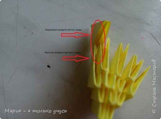 5 ряд - 4 модуля желтого цвета ( при этом захватываем хвостик модуля третьего ряда в кармашек модуля пятого ряда. Надеюсь на фото понятно. ) (фото 5)