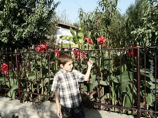 Прогулка начинается. А солнышко печет. У нас тепло почти до самого ноября. (фото 1)