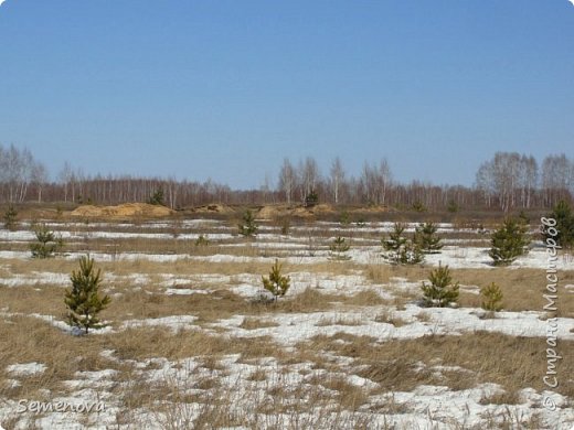 С Вербным воскресением) с весной) (фото 25)