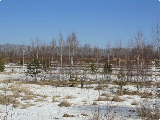 С Вербным воскресением) с весной) (фото 26)