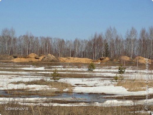 С Вербным воскресением) с весной) (фото 27)