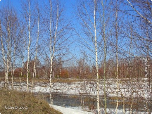 "Уж тает снег, бегут ручьи..." ) Приятно, что весна) (фото 4)