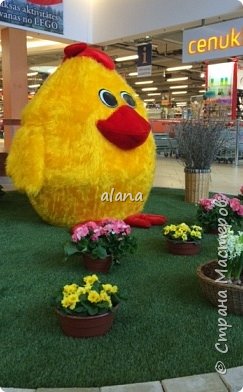 А такой пухлячок (около 2 м) встречает посетителей одного из торговых центров! (фото 7)