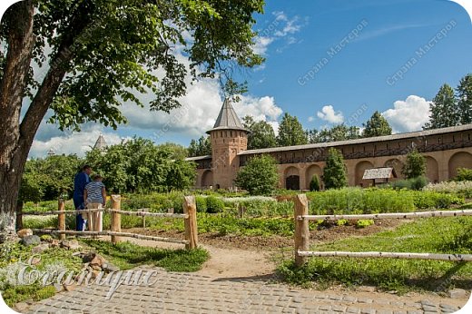 Путешествие в Суздаль (фото 5)