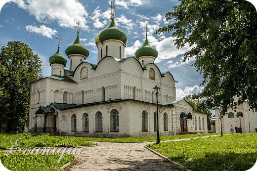 Путешествие в Суздаль (фото 10)