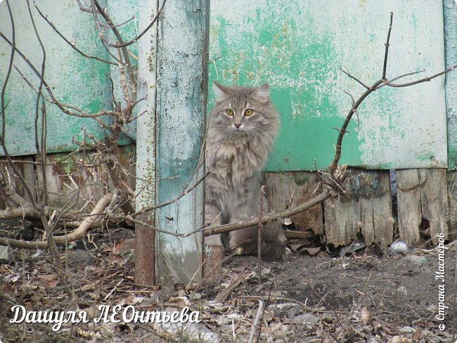 Испуганно-удивлённый взгляд. (фото 27)