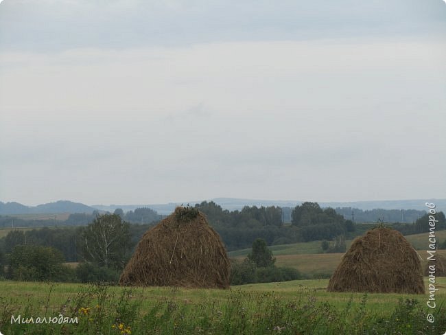 Раннее утро, еще не рассеялся ночной туман. Мои любимые стожки. (фото 2)