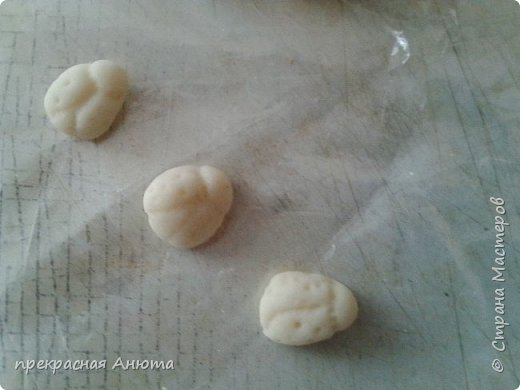мои маленькие божьи коровки:) (фото 6)