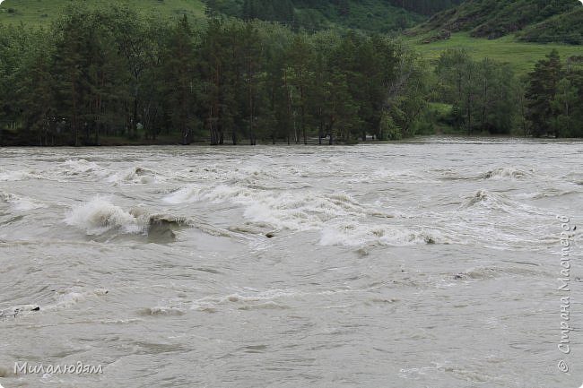 А на будущий год вода поднимется еще выше и мощь ее будет еще больше и она снесет и затопит пол Алтая. Вот я сначала вам покажу красоты, а потом покажу что с ними стало в наводнение и после. Когда просто смотришь душа болит, а когда смотришь знакомые и любимые места под водой и разрушенные, душа воет и скулит... (фото 80)