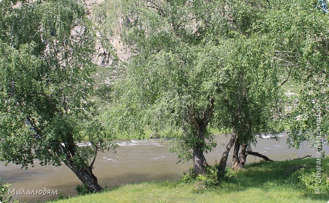 И поехали дальше (фото 86)