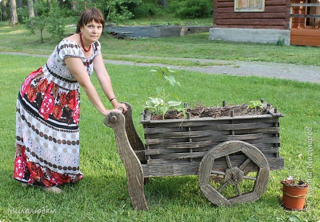 Хотела домой укатить, да передумала. Далековато катить будет... к Новому году докачу ли?.. (фото 5)