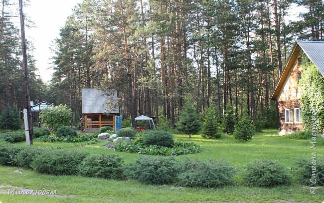 Ботанический сад. Царская охота. Чертов палец.Июнь2013 (4 часть . последняя) (фото 18)