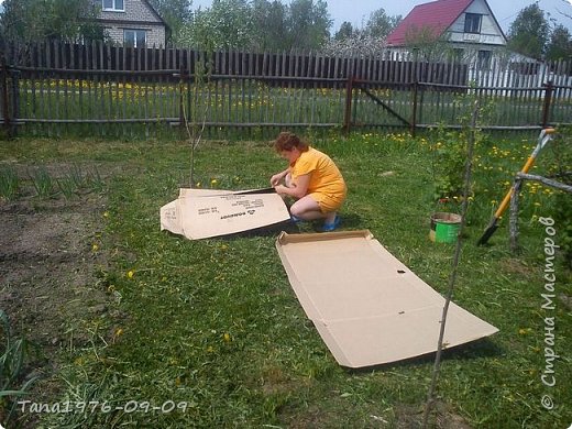 На траву укладываем картон. Весь скотч, если он есть, необходимо удалить, т.к. он не перегнивает. (фото 3)