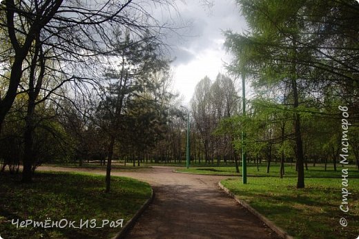 Фоторепортаж "Весна пришла..." (фото 8)