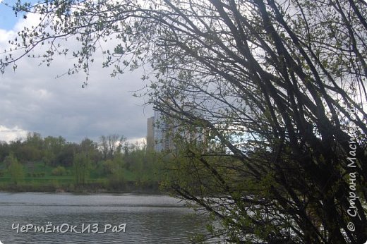 Река "Москва" (фото 14)