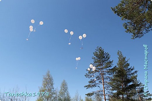 Захоронение останков воина-земляка (фото 18)