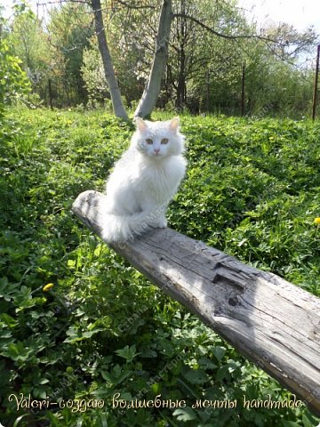 Панно "Шпагатно-кофейная клубника, колбца для салфеток ёжики, ключницы, панно и ХВАСТИК))))) (фото 48)