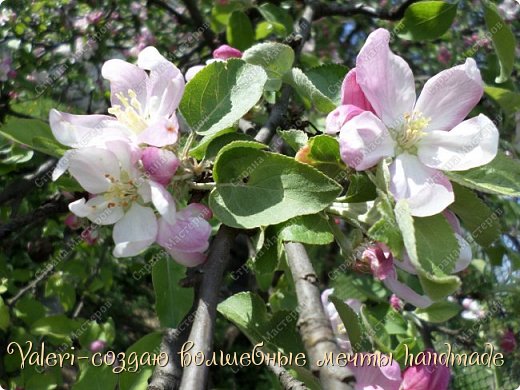 Панно "Шпагатно-кофейная клубника, колбца для салфеток ёжики, ключницы, панно и ХВАСТИК))))) (фото 43)