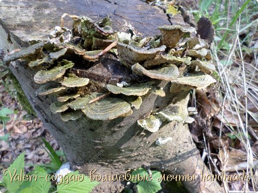 Панно "Шпагатно-кофейная клубника, колбца для салфеток ёжики, ключницы, панно и ХВАСТИК))))) (фото 50)