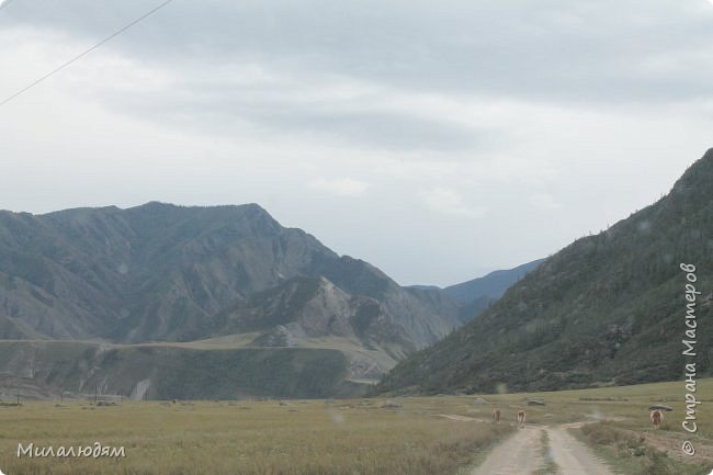 Моя четвертая поездка на Алтай. Инегень. Август 2013. (2 часть) (фото 18)