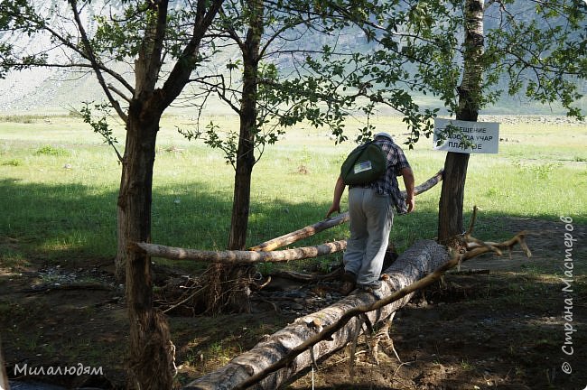 И в путь! чтобы попасть на водопад, необходимо переправиться через Чулышман на его правый берег. Нас туда перевез хозяин базы, на которой мы остановились.Нам предстоит пройти по горной тропе 10-11 км в одну сторону. Набор высоты 300 метров. (фото 42)