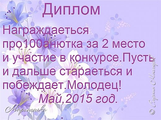 2 место-про100анютка (фото 4)