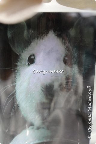 попытка снять мышу через стекло - результат не очень...... но другие кадры еще хуже получились (фото 4)