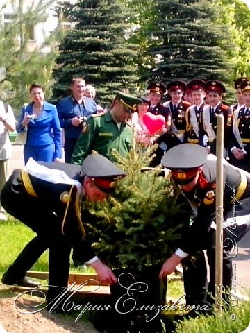 По традиции выпускники сажают перед учебным корпусом дерево, наш класс решил посадить пушистую ёлочку. (фото 20)