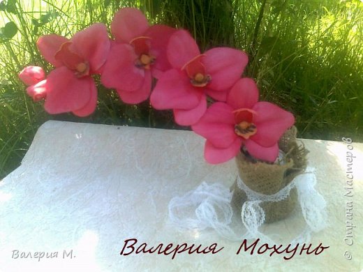 Веточка розовой орхидеи (фото 74)