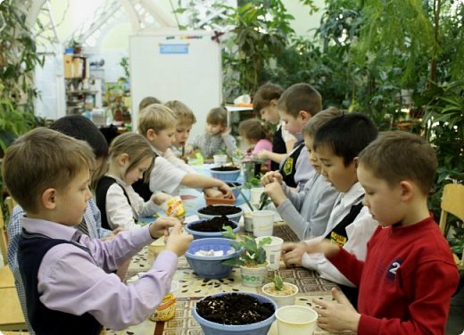 Но оказывается на кружке ребетня не только отдыхает, но и работает) Каждый ученик посадил в начале учебного года растение (на свой выбор), потом весь год за ним ухаживал и в конце года всем разрешили забрать своих "подопечных" домой))))) (фото 47)