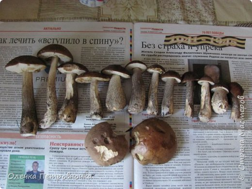 Результат - 14штук. (фото 29)