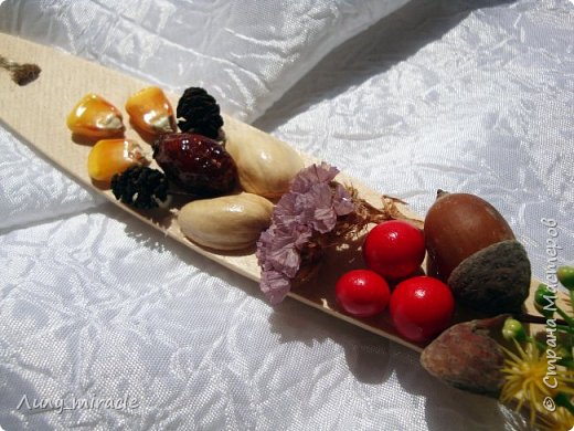 Желуди, бусины, сухоцвет, скорлупа от фисташек, шиповник, кукуруза.
Зерна и перчик покрыты лаком. (фото 4)