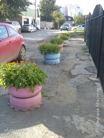 А это за воротами клумбы из шин с календулой. Вот такой у нас получился цветник. (фото 11)