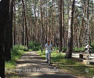 Это я держу форму.Всем желаю удачного лета и вкусненьких заготовок. (фото 11)