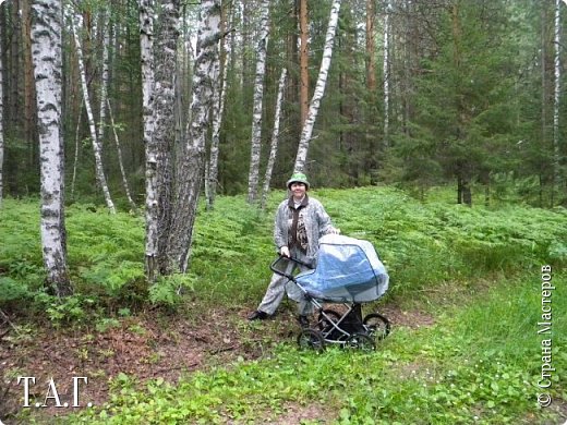 Мы поехали не одни, а взяли с собой дочь и внука. Виталик в коляске. Свои права Я сразу заявила на мальчика -Витальчика. Буду с коляской гулять по дорогам, а вы грибы собирайте.  (фото 3)