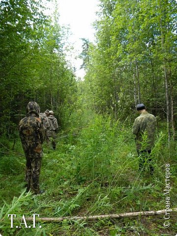 Мужчины пошли расчищать параллельную дорогу (хобби у мужа такое) (фото 35)